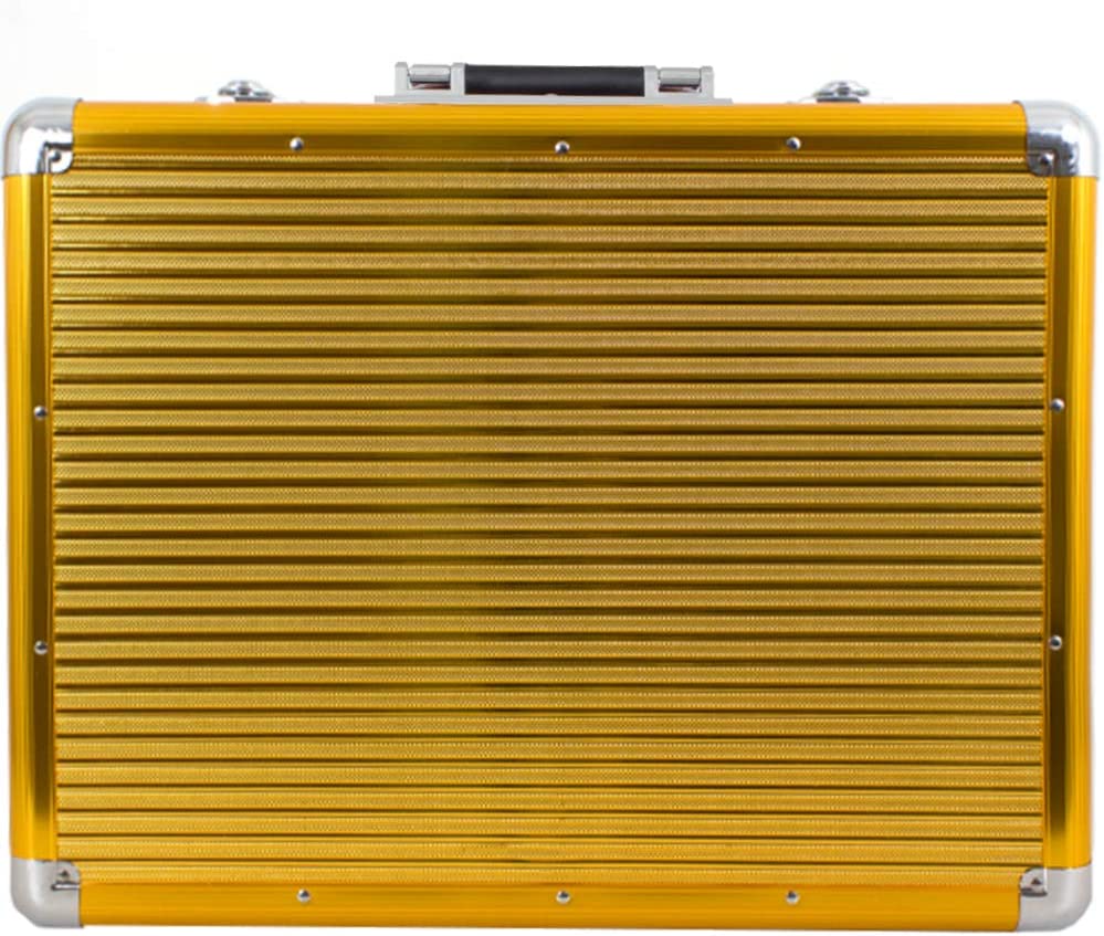 Vincent Large Master Case Gold