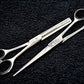 XPERSIS PRO Silver German Made Barber Shear Set